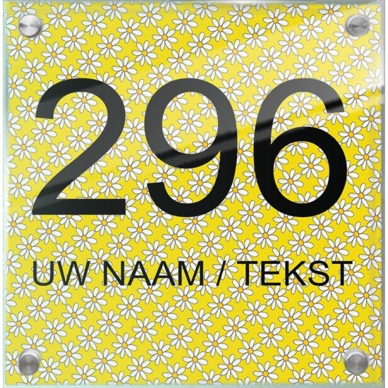 Naambordje vierkant plexiglas, unieke naambordjes voordeur, naam bordjes, model 1030